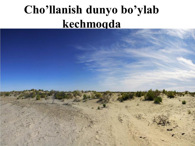 Cho’llanish dunyo bo’ylab kechmoqda