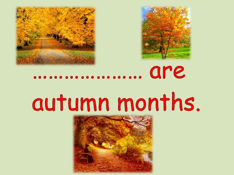 ………………… are autumn months.