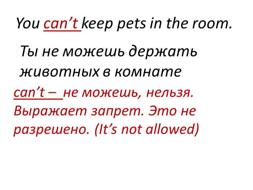 You can’t keep pets in the room