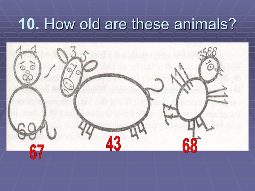 How old are these animals? 67 43 68