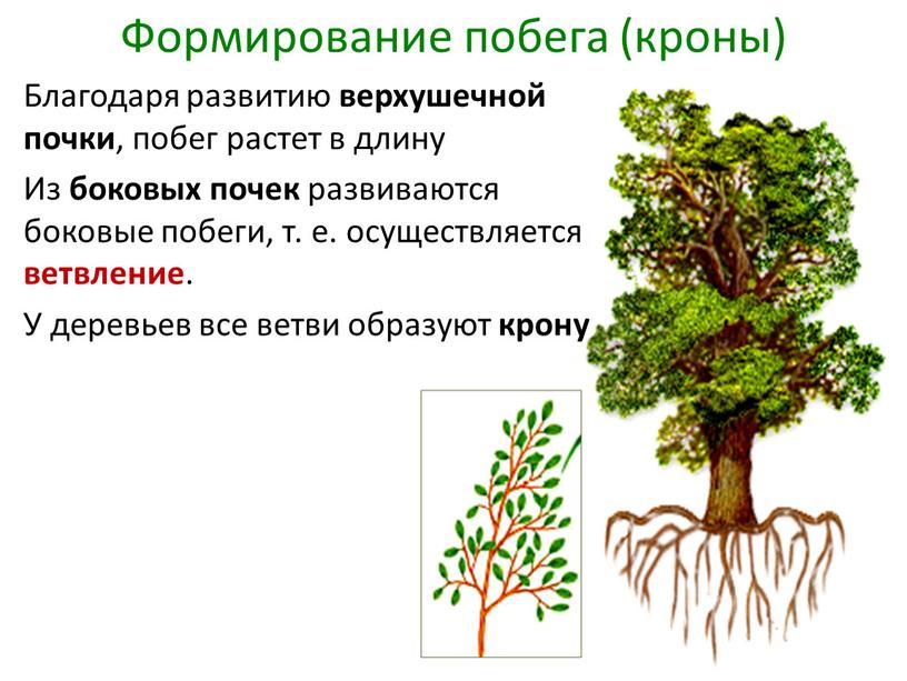 Развитие благодаря