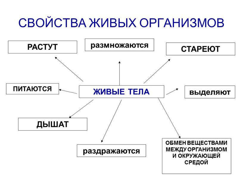 ЖИВЫЕ ТЕЛА ДЫШАТ размножаются ПИТАЮТСЯ