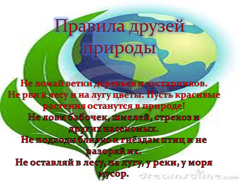 Правила друзей природы Не ломай ветки деревьев и кустарников