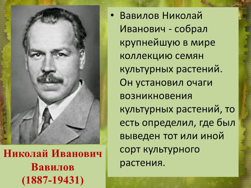 Вавилов Николай Иванович - собрал крупнейшую в мире коллекцию семян культурных растений