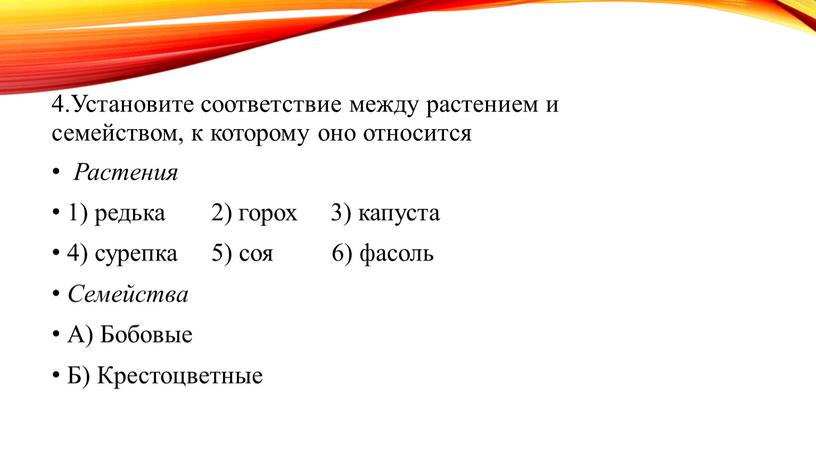 Установите соответствие между растением и семейством, к которому оно относится