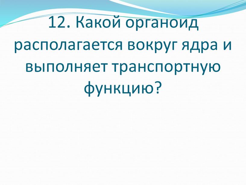 Какой органоид располагается вокруг ядра и выполняет транспортную функцию?