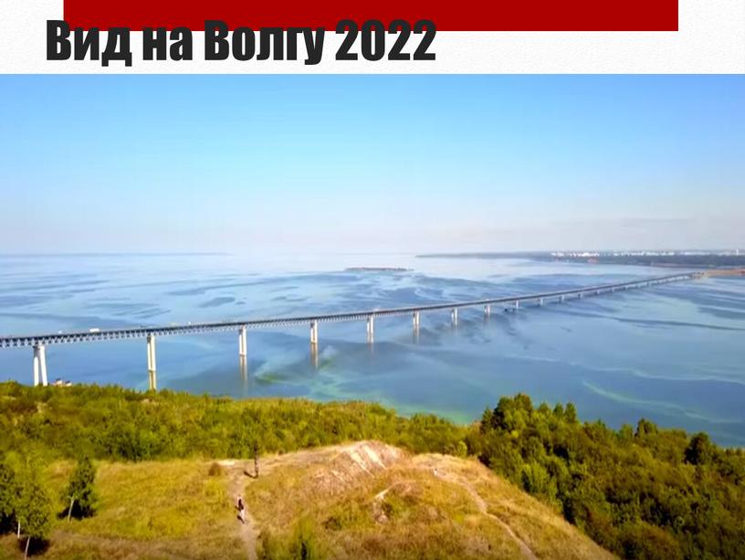 Вид на Волгу 2022