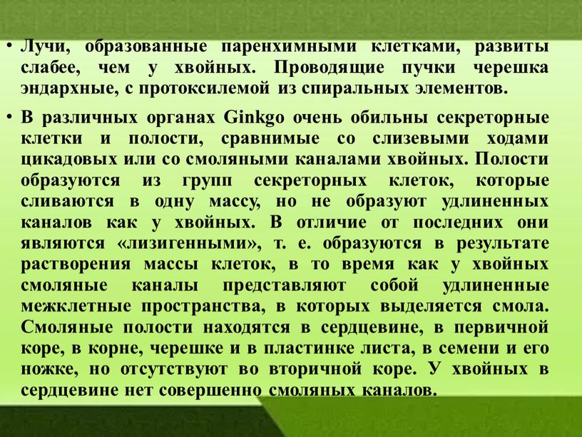 Лучи, образованные паренхимными клетками, развиты слабее, чем у хвойных