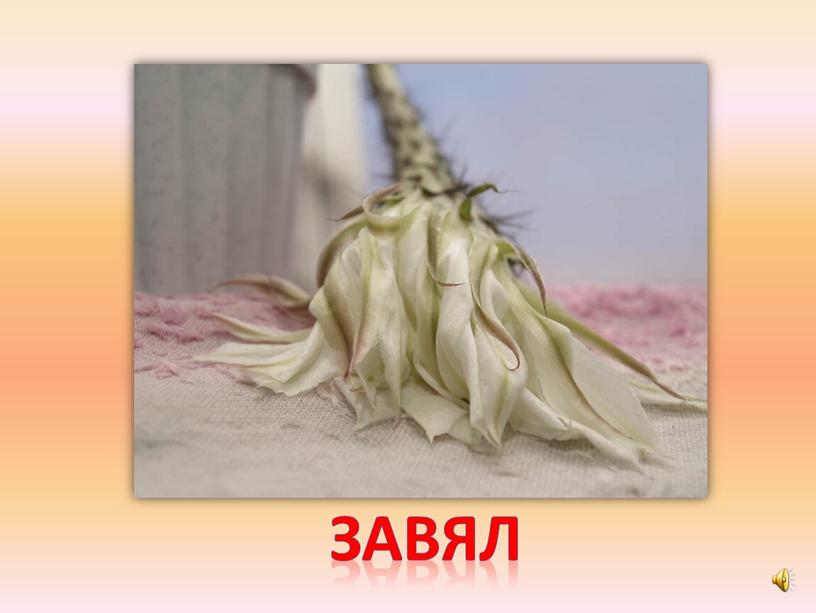 завял