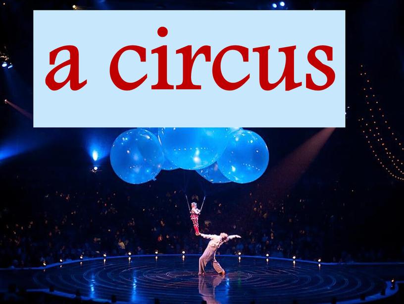 a circus