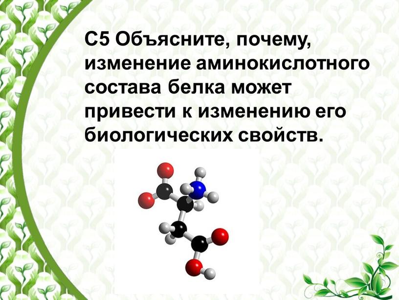 С5 Объясните, почему, изменение аминокислотного состава белка может привести к изменению его биологических свойств