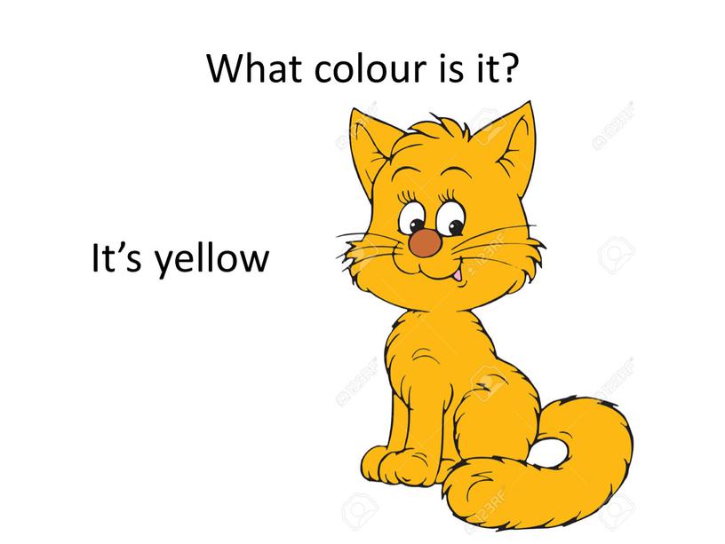 What colour is it? It’s yellow