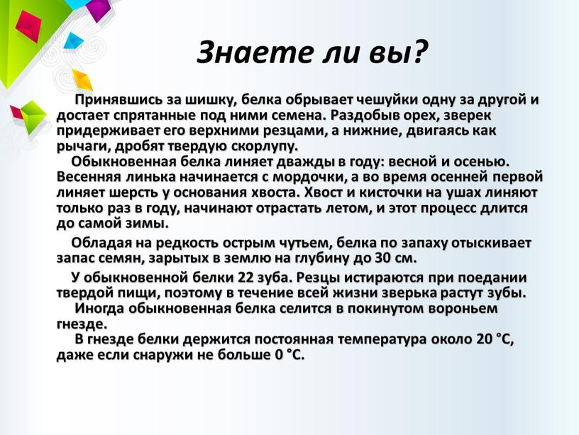 Знаете ли вы? Принявшись за шишку, белка обрывает чешуйки одну за другой и достает спрятанные под ними семена