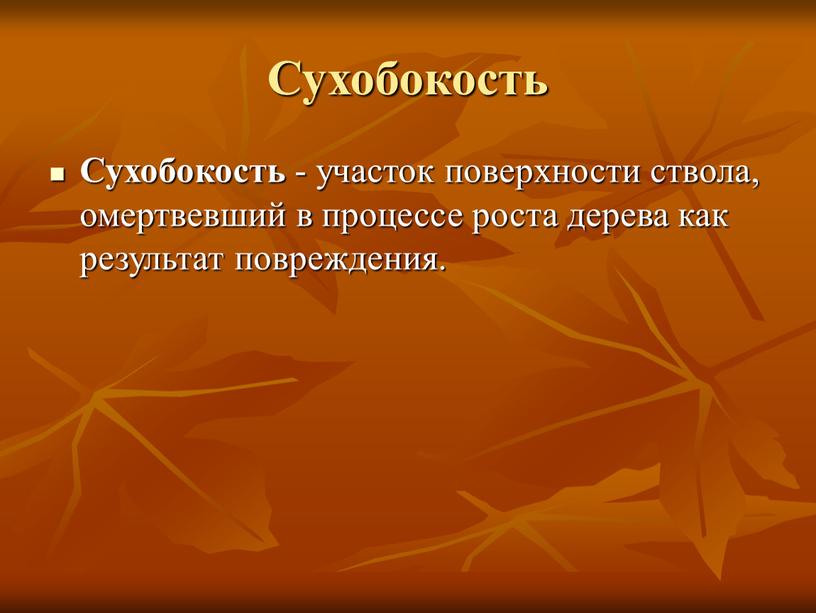 Сухобокость Сухобокость - участок поверхности ствола, омертвевший в процессе роста дерева как результат повреждения