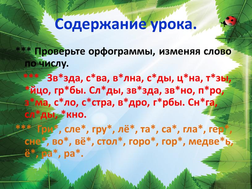 Содержание урока. *** Проверьте орфограммы, изменяя слово по числу