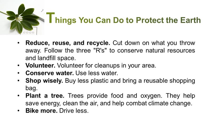 Things You Can Do to Protect the