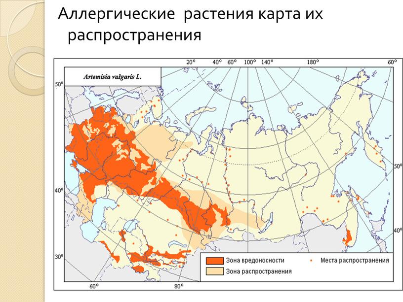 Аллергические растения карта их распространения