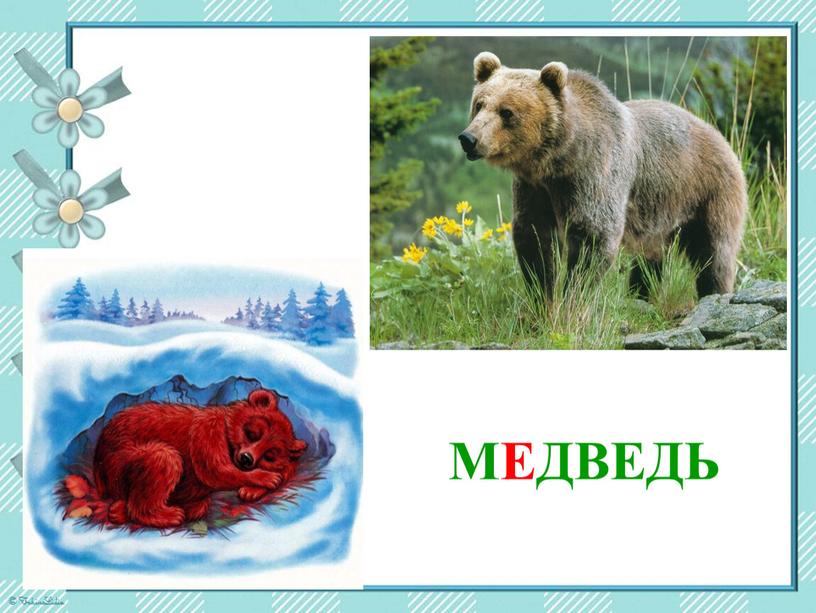 МЕДВЕДЬ