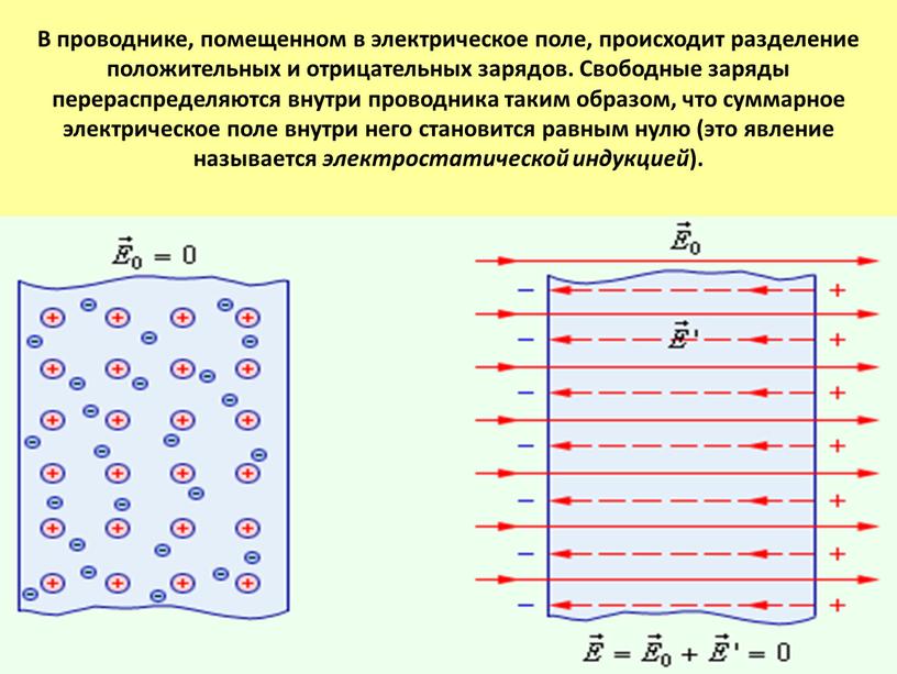 В проводнике, помещенном в электрическое поле, происходит разделение положительных и отрицательных зарядов