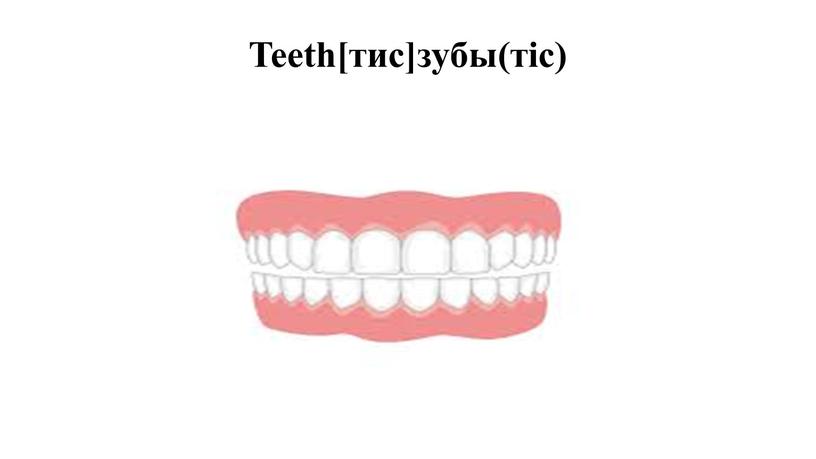 Teeth[тис]зубы(тіс)