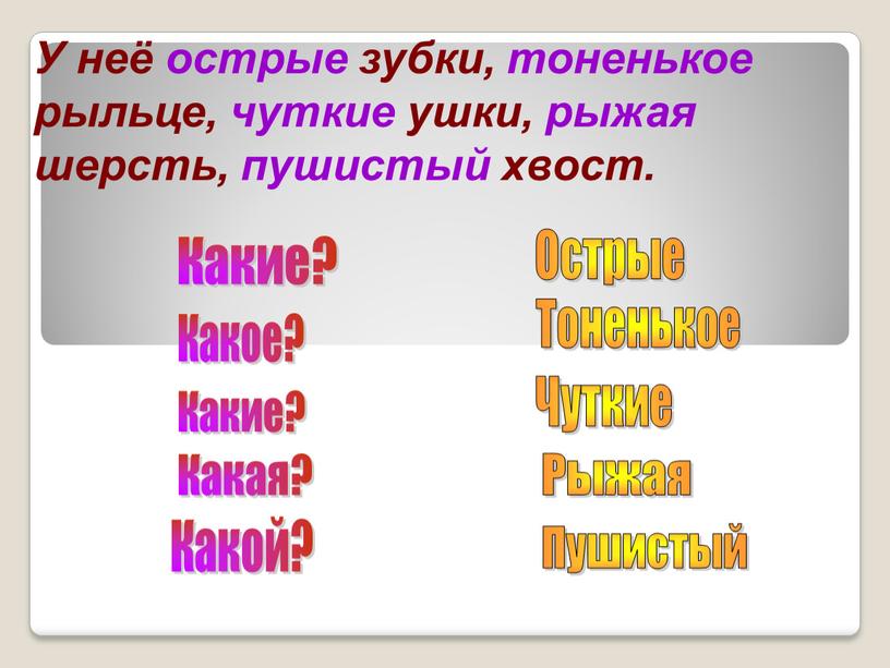 У неё острые зубки, тоненькое рыльце, чуткие ушки, рыжая шерсть, пушистый хвост