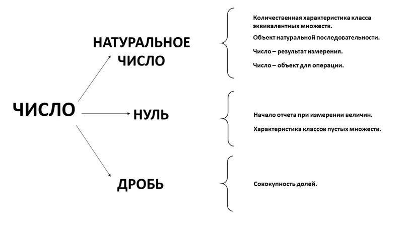 ЧИСЛО НАТУРАЛЬНОЕ ЧИСЛО ДРОБЬ Количественная характеристика класса эквивалентных множеств