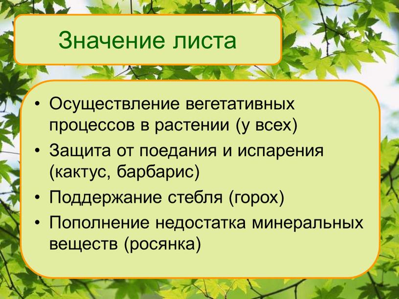 Значение листа Осуществление вегетативных процессов в растении (у всех)