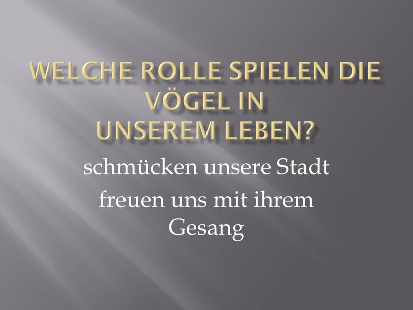 Welche Rolle spielen die Vögel in unserem