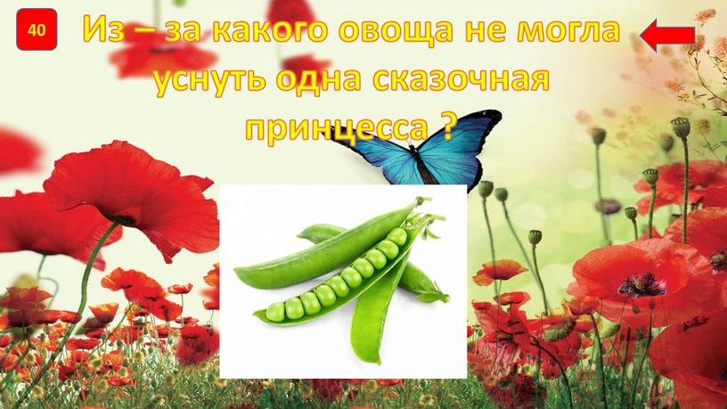 Из – за какого овоща не могла уснуть одна сказочная принцесса ?