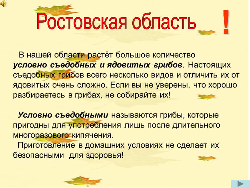 В нашей области растёт большое количество условно съедобных и ядовитых грибов