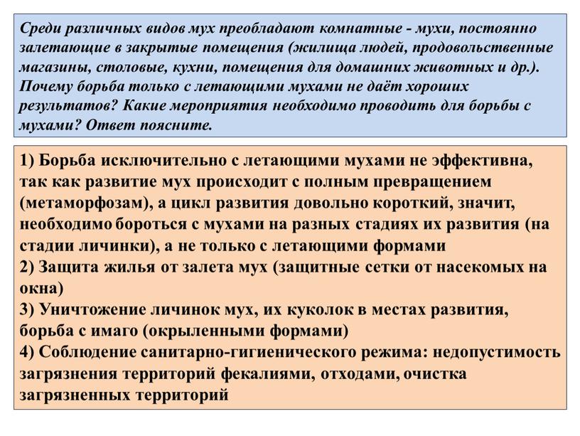 Среди различных видов мух преобладают комнатные - мухи, постоянно залетающие в закрытые помещения (жилища людей, продовольственные магазины, столовые, кухни, помещения для домашних животных и др