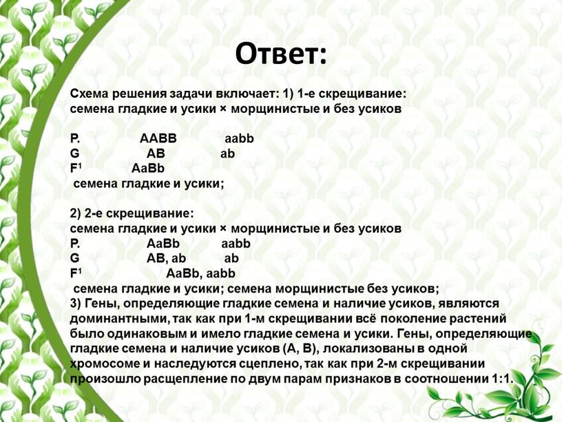 Ответ: Схема решения задачи включает: 1) 1-е скрещивание: семена гладкие и усики × морщинистые и без усиков