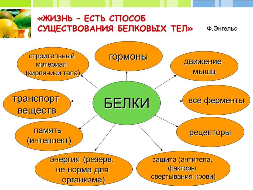 ЖИЗНЬ – ЕСТЬ СПОСОБ СУЩЕСТВОВАНИЯ