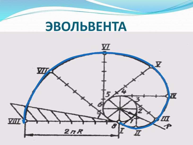 ЭВОЛЬВЕНТА