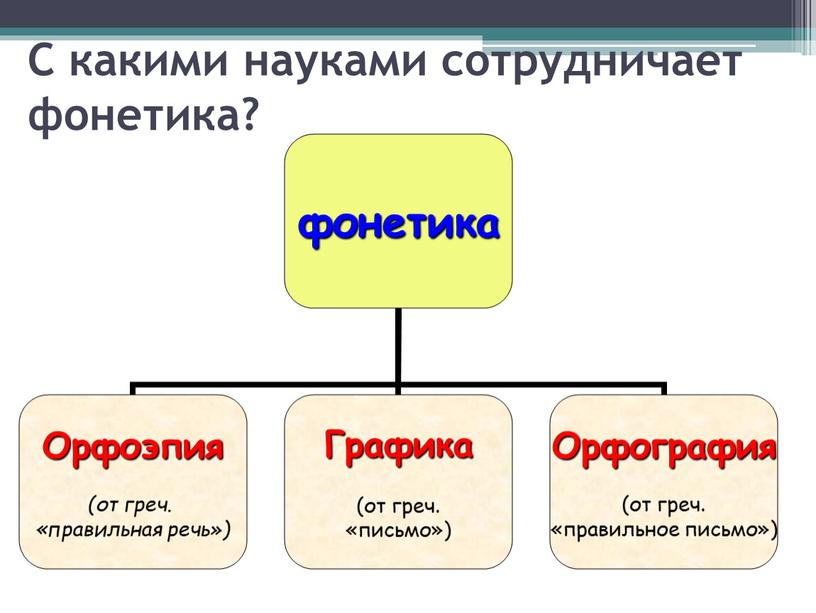 С какими науками сотрудничает фонетика?