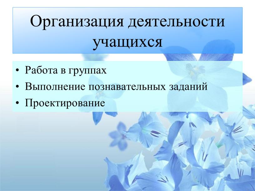 Организация деятельности учащихся