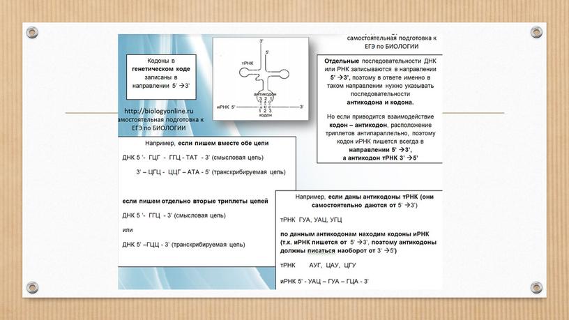 Презентация Биосинтез белка. Подготовка к ЕГЭ