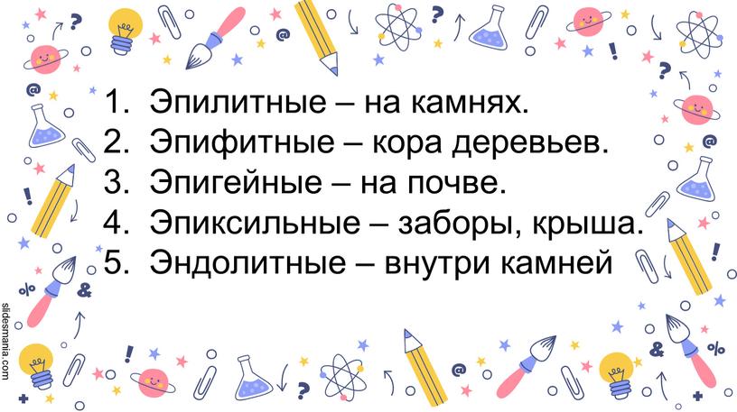 Эпилитные – на камнях. Эпифитные – кора деревьев