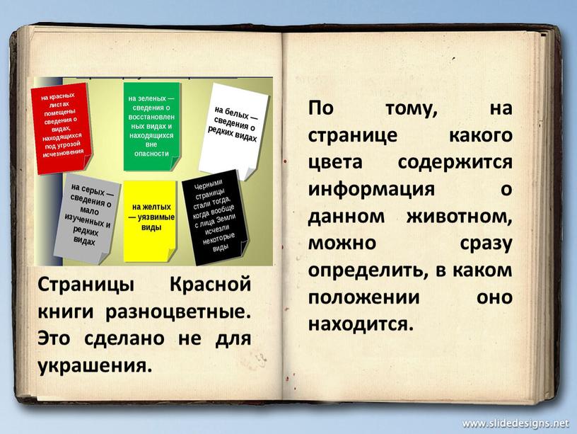 Страницы Красной книги разноцветные