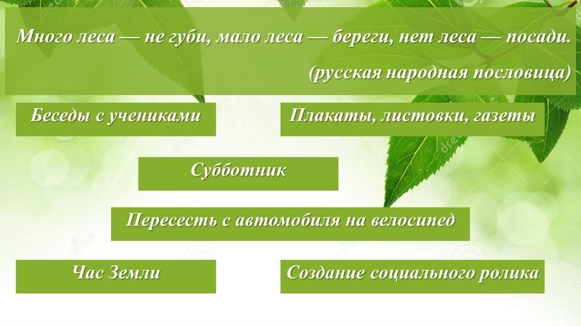 Много леса — не губи, мало леса — береги, нет леса — посади