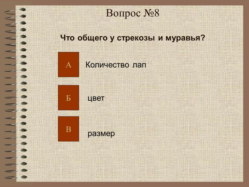 Вопрос №8 Что общего у стрекозы и муравья?