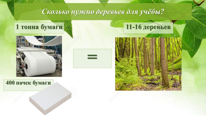 Сколько нужно деревьев для учёбы? 1 тонна бумаги 11-16 деревьев 400 пачек бумаги =