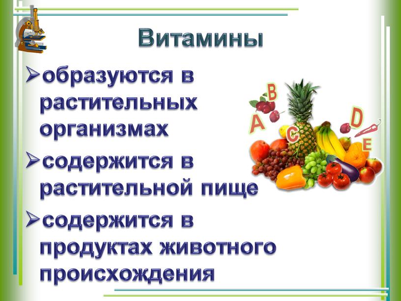 Витамины образуются в растительных организмах содержится в растительной пище содержится в продуктах животного происхождения