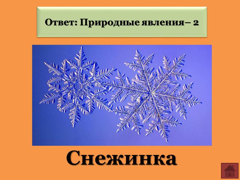 Снежинка Ответ: Природные явления– 2