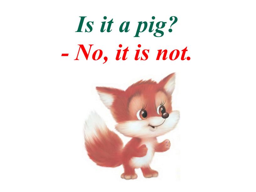 Is it a pig? - No, it is not.