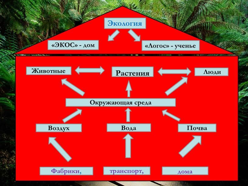 Экология Растения «ЭКОС» - дом «Логос» - ученье