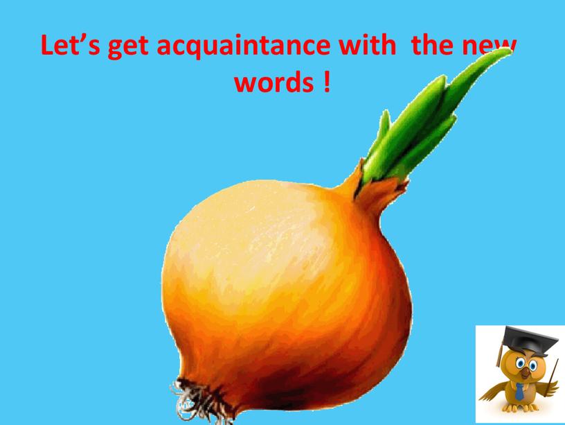 Let’s get acquaintance with the new words !