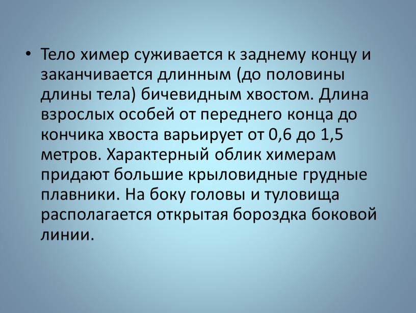 Тело химер суживается к заднему концу и заканчивается длинным (до половины длины тела) бичевидным хвостом