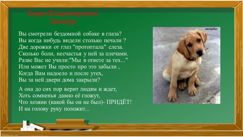 Борис Владимирович Заходер Вы смотрели бездомной собаке в глаза?