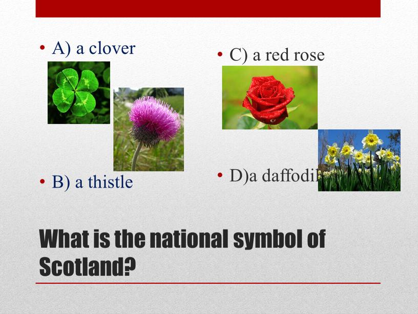 What is the national symbol of